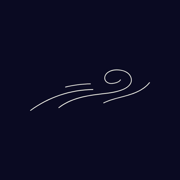 Void logo Voiid logo